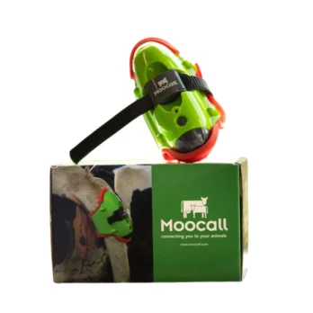 Czujnik wycieleń Moocall